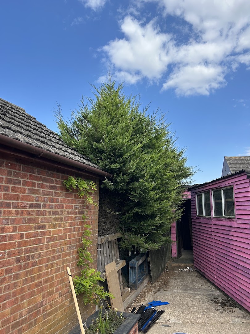 Daubney handyman services — Photos 2