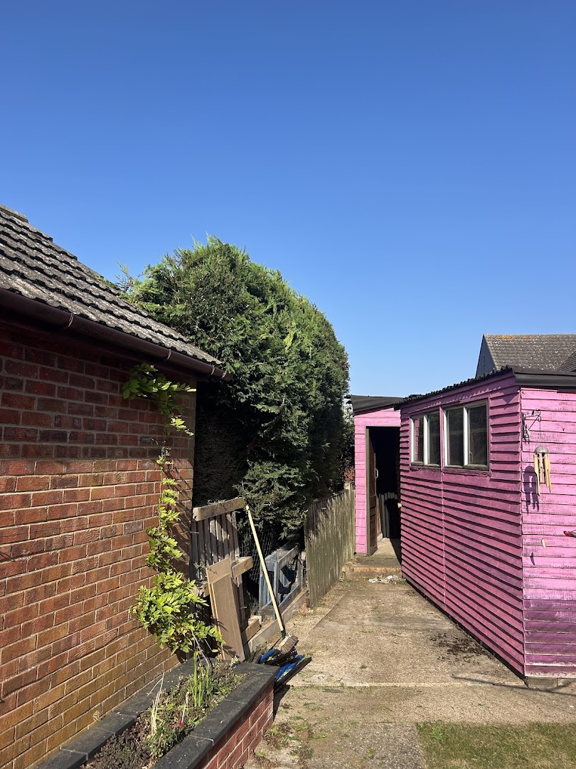 Daubney handyman services — Photos 5
